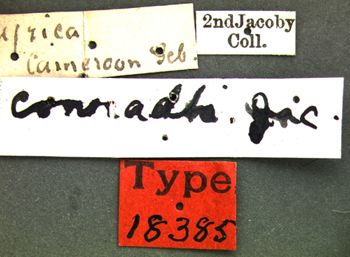 Media type: image;   Entomology 18385 Aspect: labels